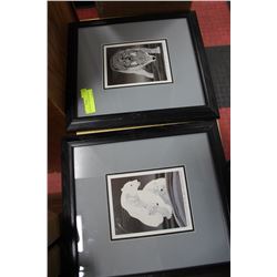 2 PICTURES BY "ARCHIE BEAULIEU"