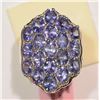 Image 1 : STERLING SILVER TANZANITE (3.90CT) RING