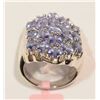 Image 3 : STERLING SILVER TANZANITE (3.90CT) RING