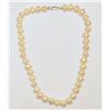 Image 1 : STERLING SILVER CLASP FRESHWATER PEARL NECKLACE