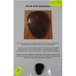 AMMOLITE (49.5ct) GEMSTONE