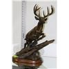 Image 1 : BRONZE WHITE TAIL DEER SCULPTURE