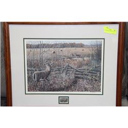 PAUL RENKIN STAG PICTURE 1995