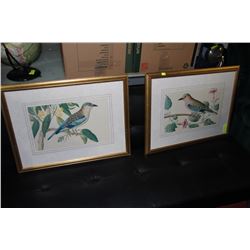 SET OF 2 FRAMED & MATTED BIRD PICTURES