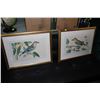 Image 1 : SET OF 2 FRAMED & MATTED BIRD PICTURES