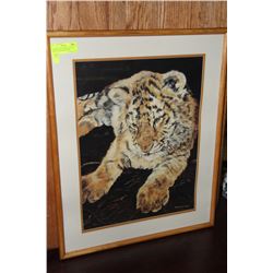 FRAMED & MATTED BABY TIGER PRINT BY RAYMOND KIEM