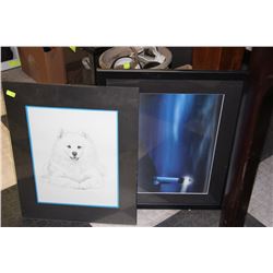 VISION PICTURE SOLD WITH DOG PICTURE