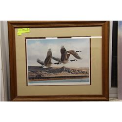 KAY WILLIAMS PRINT #2805/2905