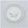 Image 1 : 1999-2000 Double Dated Fireworks Privy Mark Silver Maple Leaf (TAX Exempt)