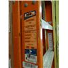 Image 2 : Fiberglass 10' Ladder