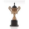 Image 1 : ALUMINUM AND WOODEN TROPHY