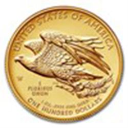 2015 American Liberty High Relief Gold Coin (w/Box and