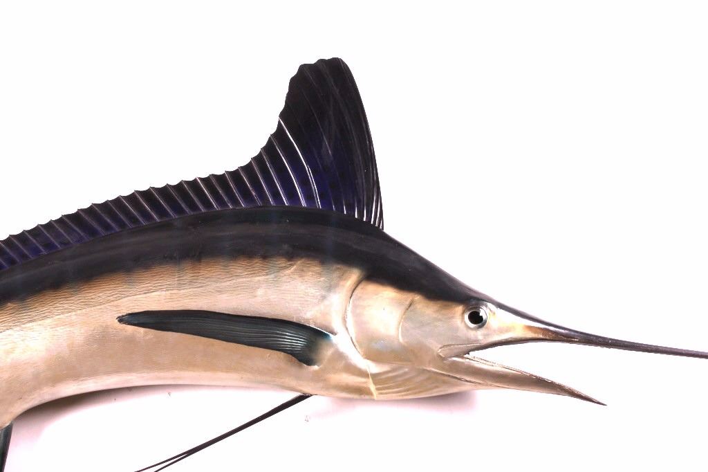 Swordfish Taxidermy Wall Mount