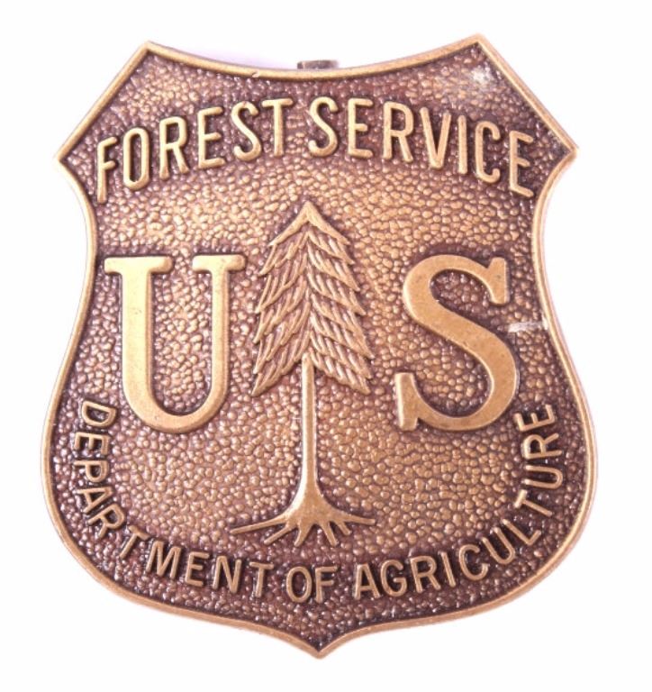 U.S. Forest Service Ranger Badge