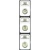 Image 1 : 1948 SET Booker T. Washington PDS Set MS66 NGC. The P-mint Commemorative is lightly toned with good.