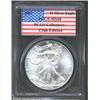 Image 1 : 2002 S$1 Silver Eagle MS68 PCGS. A miniscule contact mark below the L in LIBERTY is all that prevent