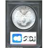 Image 2 : 2002 S$1 Silver Eagle MS68 PCGS. A miniscule contact mark below the L in LIBERTY is all that prevent