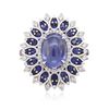 Image 1 : 18KT White Gold 13.89ctw Sapphire and Diamond Ring