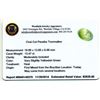 Image 2 : 13.47ctw. Oval Cut Paraiba Tourmaline