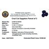 Image 2 : 17.67ctw Oval Cut Sapphire Parcel