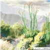 Image 3 : Occotillo & Brittle Brush by Dillie Thomas