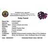 Image 2 : 9.14ctw Fancy Ruby Parcel
