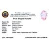 Image 2 : 4.55ctw Pear Mixed Kunzite Parcel