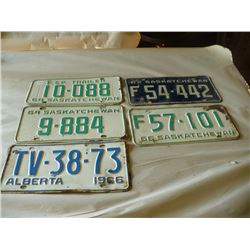 License Plates 5