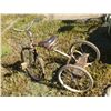 Image 2 : Vinitage Tricycle