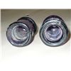 Image 2 : Purple Insulator Pair