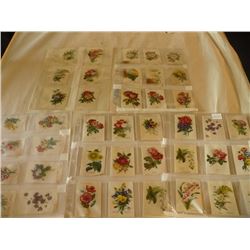 Flowers Tobacco Silks 1920-30's