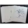 Image 1 : 1981 NFL Shell Oil Posters - 22 TOTAL  (3) Mike Barnes Menaces The Quarterback,
