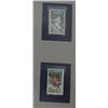 Image 2 : BABE RUTH & LOU GEHRIG 8x8 PHOTO FRAMED & MATTED 14x11- MLB HOLOGRAM - w/.20