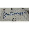 Image 2 : JOE DIMAGGIO Signed/Autographed 24x28 Framed & Matted B&W Photograph - CSC