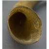 Image 8 : WESTERN CARVED HORN