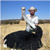 Image 10 : Namibia Plains Game Hunt for Two Hunters ($8,200 Value)