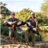 Image 14 : Namibia Plains Game Hunt for Two Hunters ($8,200 Value)