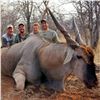 Image 16 : Namibia Plains Game Hunt for Two Hunters includes 2 Kudu, 2 Gamsbuck, 2 Hartebeest ($12,900 value)