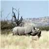 Image 20 : Namibia Plains Game Hunt for Two Hunters includes 2 Kudu, 2 Gamsbuck, 2 Hartebeest ($12,900 value)