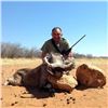 Image 8 : Namibia Plains Game Hunt for Two Hunters includes 2 Kudu, 2 Gamsbuck, 2 Hartebeest ($12,900 value)