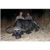 Image 4 : Mozambique Cape Buffalo Hunt for Two (2) Hunters (Retail $33,100)