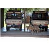 Image 17 : Mozambique 14-Day Leopard Hunt 1x1 (Value: $24,500)