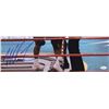 Image 2 : Mike Tyson Signed 16x20 Photo vs Evander Holyfield (JSA COA)