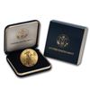 Image 1 : 2015 1 oz Gold American Eagle BU (W/U.S. Mint Box)