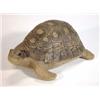 Image 1 : Poole Barbara Lindley Adams stoneware tortoise, 15cm long, impressed marks to base…