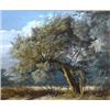 Image 1 : Framed well detailled watercolour of an old willow tree at Flore, Peter Newcombe 1982, 20cm x 16c…