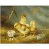Image 1 : Oak framed Victorian coloured print of chicks hatching, 30cm x 25cm…