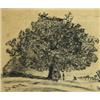 Image 1 : Rectangular pen and ink of a tree house, signed W. Hollor, 22cm x 22cm…