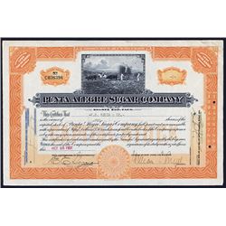 Punta Alegre Sugar Co. Issued Stock.