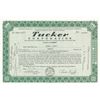 Image 2 : Tucker Corporation, 1947